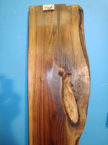 7166 black walnut - walnut, edge