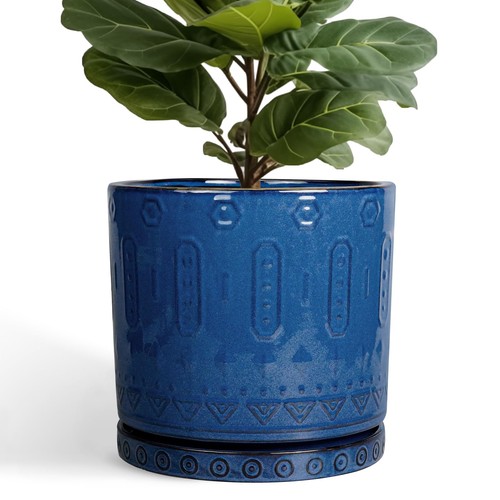 Inch pot for plants - inch,