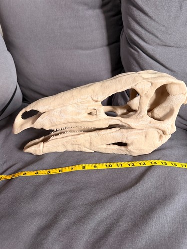 Stegosaurus skull replica - stegosaurus,