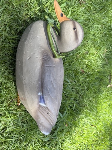 Herters magnum mallard hen - magnum,