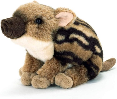 Baby japanese wild boar - wild,