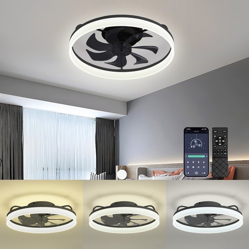 Modern fan lights flush - 20",