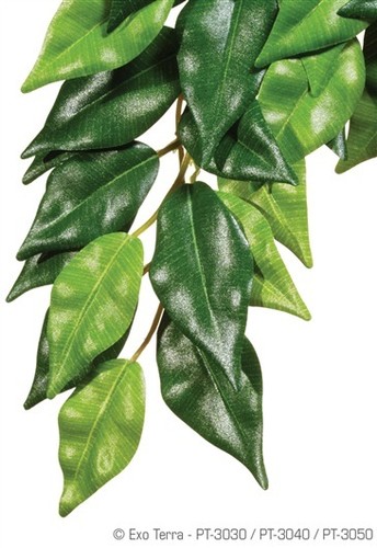 Exo terra silk plant - silk,