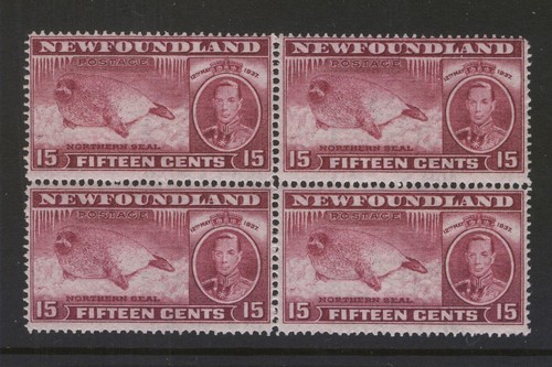 Newfoundland 239 263 - newfoundland, 1937