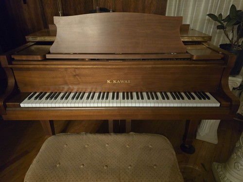 Kawai grand piano high end - grand,