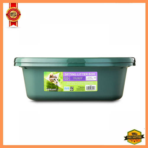 Vibrant life sifting cat - vibrant,