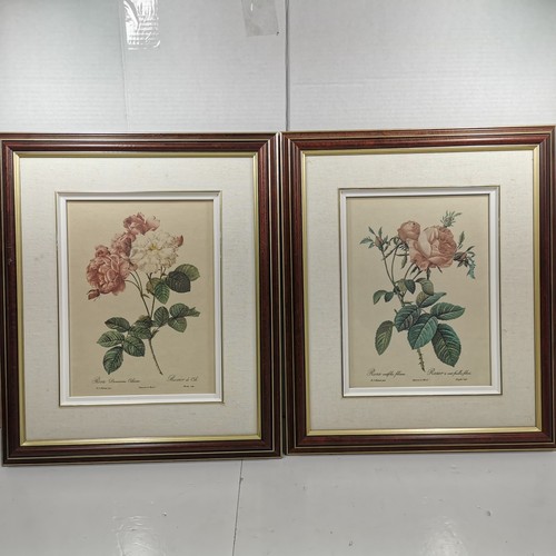 Vintage redoute rosa damascena - vintage,