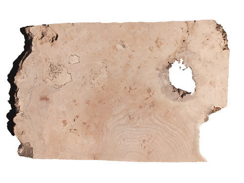 Spalted maple burl - maple, board
