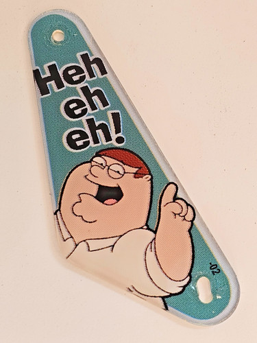 2007 stern family - guy, pinball