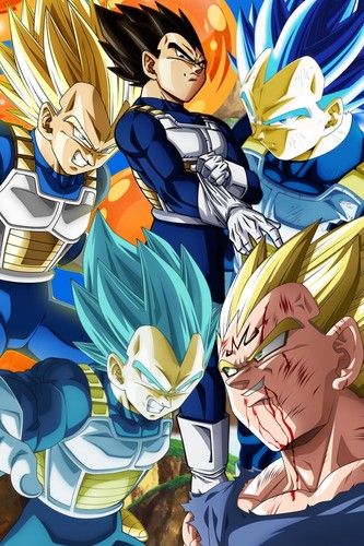Dragon ball super vegeta - ball, z