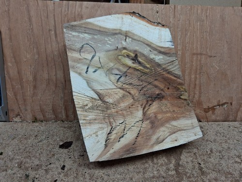 Maple spalted live - live, edge