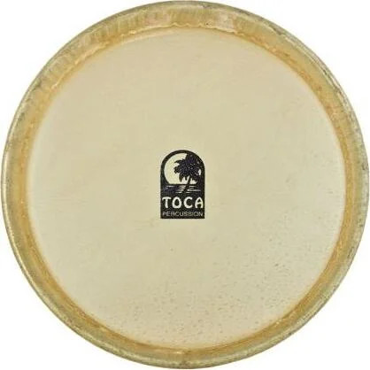 Toca bongo head - in,