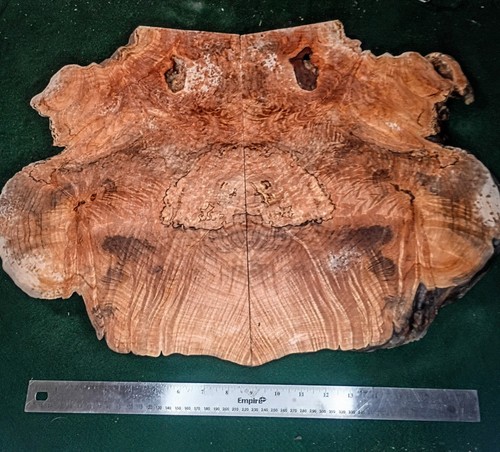 Bookmatched maple burl slabs - bookmatched,