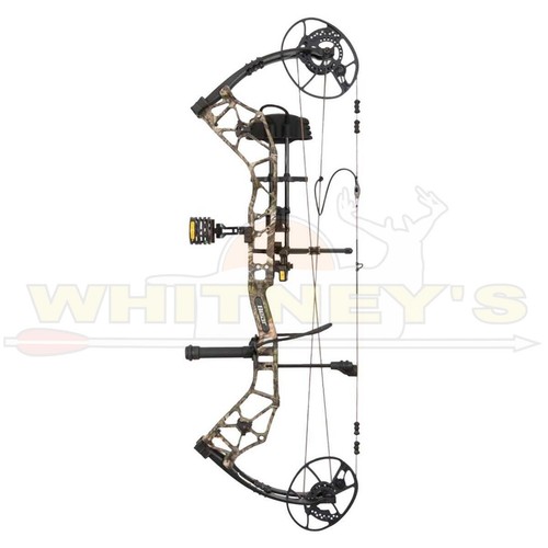 Bear paradigm rth - bear,