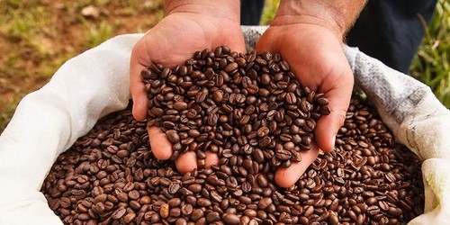 Costa rican tarrazu coffee - costa,