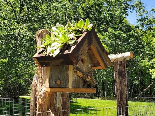 Rustic hanging wood birdhouse - rustic,