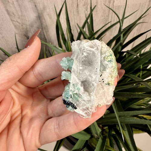 Very rare selenite blade - rare,