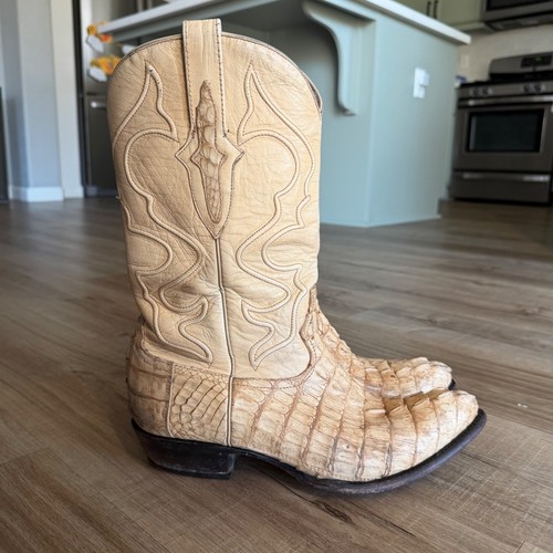Mens hornback caiman - hornback, crocodile