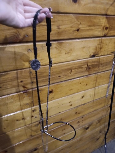 Arabian show halter - halter,