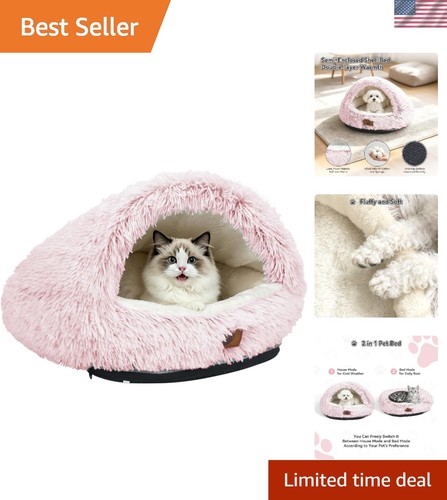 Fluffy round cat - round, bed
