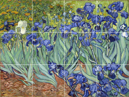 Blue irises flowers garden van - irises,