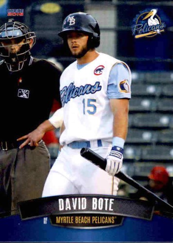 2016 myrtle beach pelicans - myrtle,