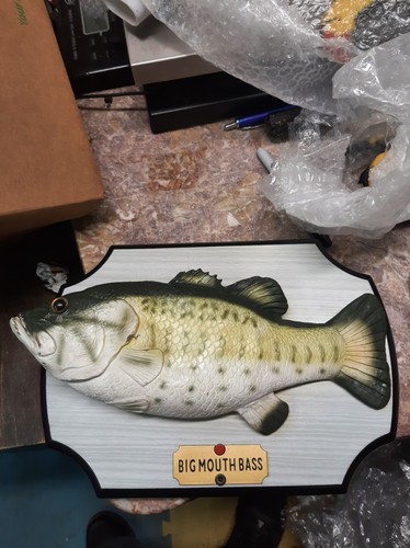 Big mouth bass alternate color - big,