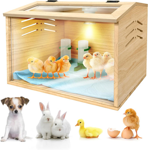 Chicken brooder box for - box, chicks