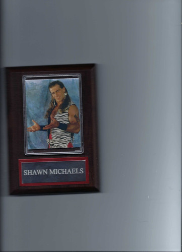 Shawn michaels plaque - shawn,