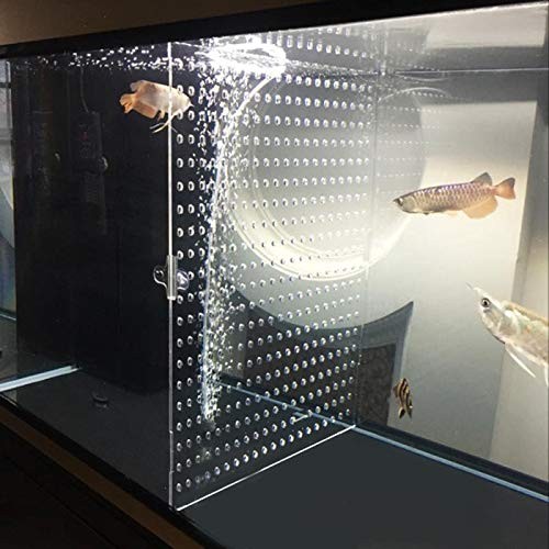 8 aquarium fish - 22.8", x
