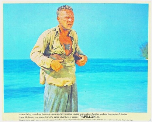 Steve mcqueen beach with - mcqueen,