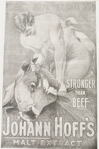 Muscle man wrestles - wrestles, beef