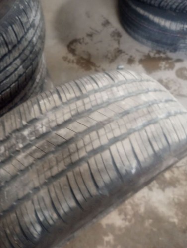 Set falken ziex - of,