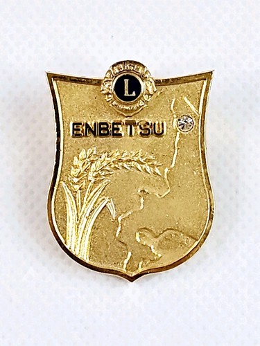 Lions club international - club,