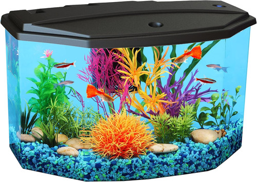 Gallon aquarium starter kit - 3-gallon,