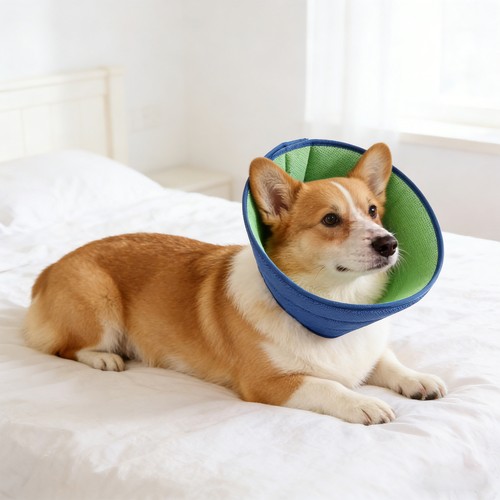 Soft dog cone collar cat - dog,