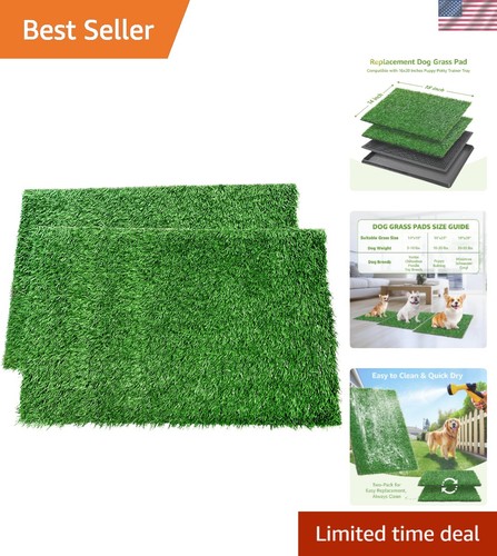 Pack 14x18in dog grass - dog,