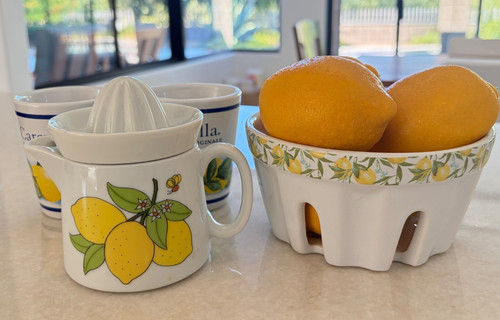 Lemon ceramic serving set - lemon,