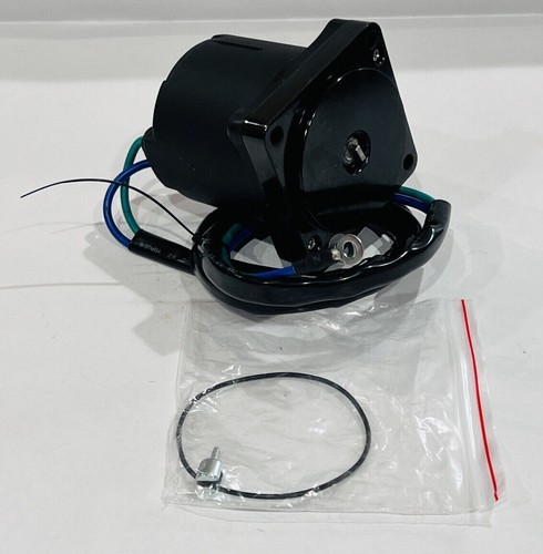 Electrical tilt trim motor - tilt,