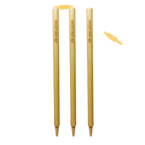 Bratla cricket wickets with - wickets,
