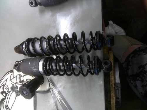 Showa g5t62 026 54000304 shock - g5t62-026,