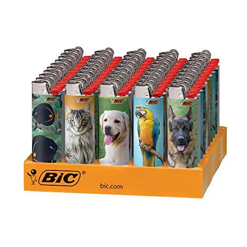 Bic special edition - special, animal