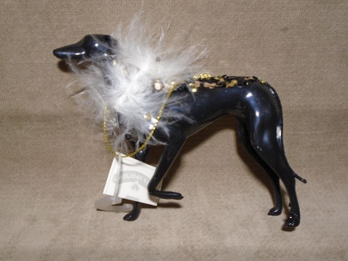 Fancy black greyhound whippet - black,