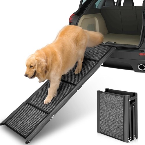 Open box petbank dog - dog, ramp
