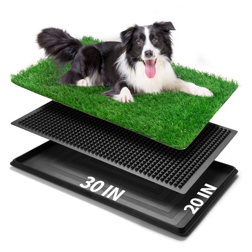Indoor puppy pet - indoor,