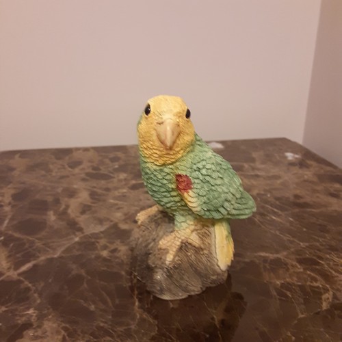 Endangered amazon parrot - amazon,