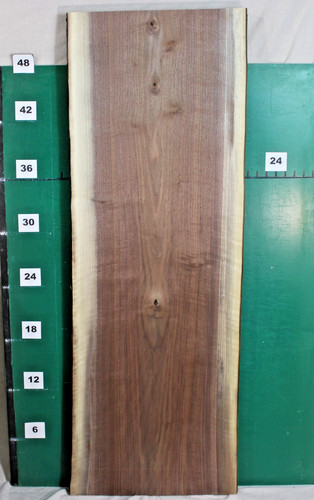 Beautiful black walnut live - beautiful,