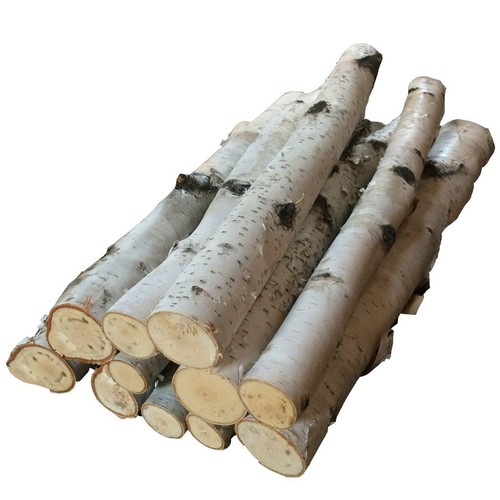 Bundle birch logs - bundle,