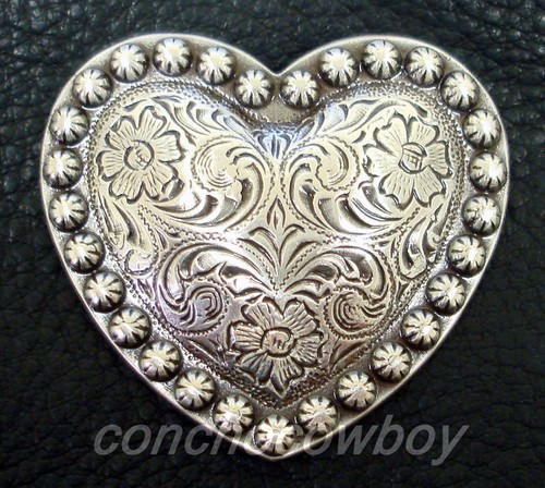 Western horse tack - horse, headstall