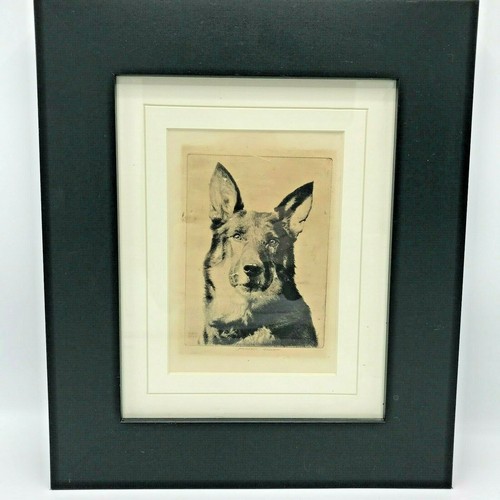 Original pencil drawing - original, morgan